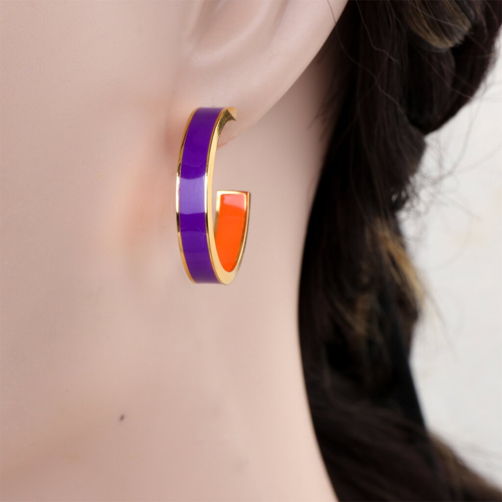 Vibrant 18K Gold Plated Stainless Steel Enamel Hoop Earrings